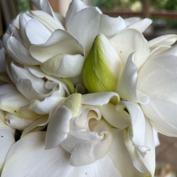 🌞🌺✨……….. - Picture 10 of 16